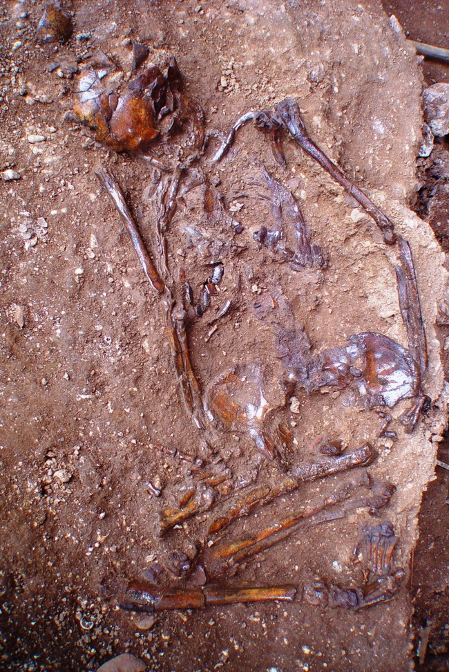 Những "người lạ" trong văn hóa Đông Sơn (kỳ 1): Từ những bộ hài cốt khác biệt - Ảnh 1.