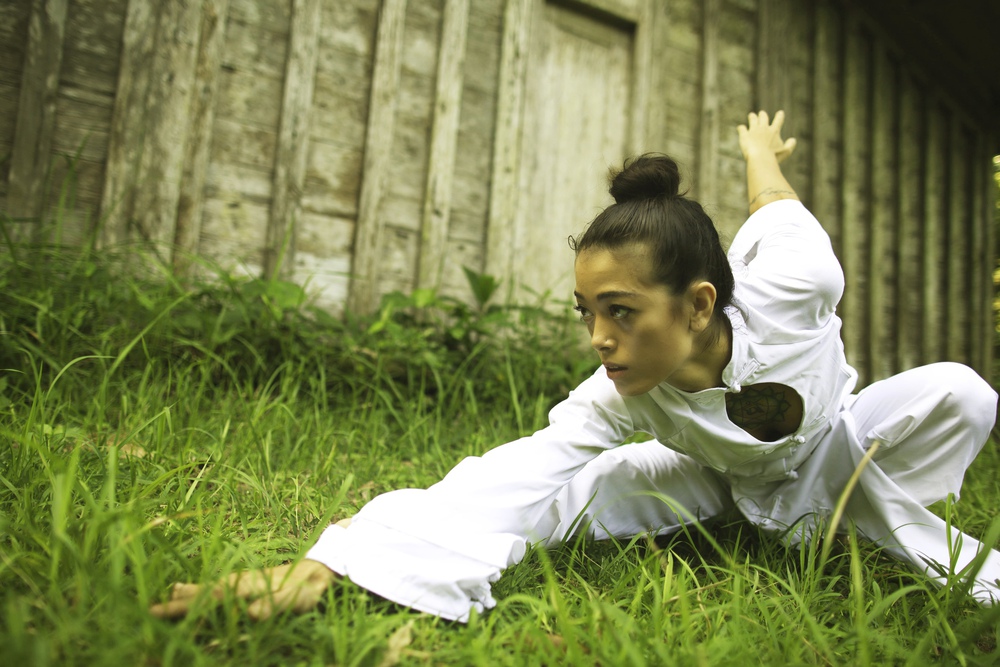 Xà Quyền: Từ tiểu thuyết của Kim Dung tới tinh hoa võ thuật Việt Nam - Ảnh 2.