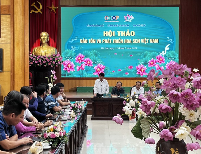 Nâng tầm giá trị sen Hà Nội (kỳ 1): Từ sen bách diệp Tây Hồ… - Ảnh 1. Nâng tầm giá trị sen Hà Nội (kỳ 1): Từ sen bách diệp Tây Hồ… - Ảnh 1.