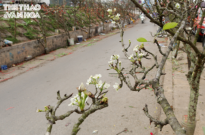 img_1539 Chú thích ảnh