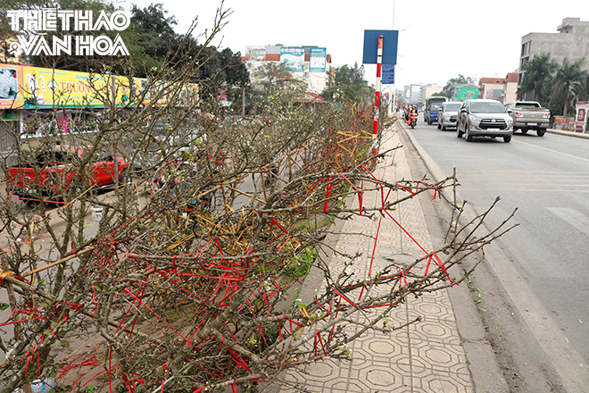 img_1550 Chú thích ảnh