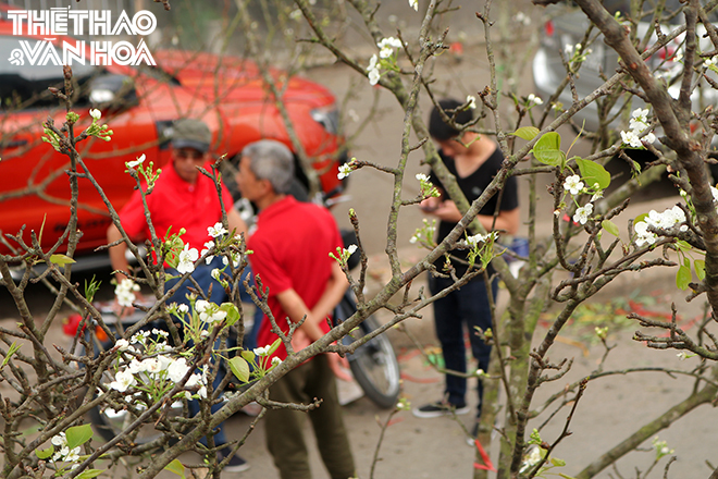 img_1553 Chú thích ảnh