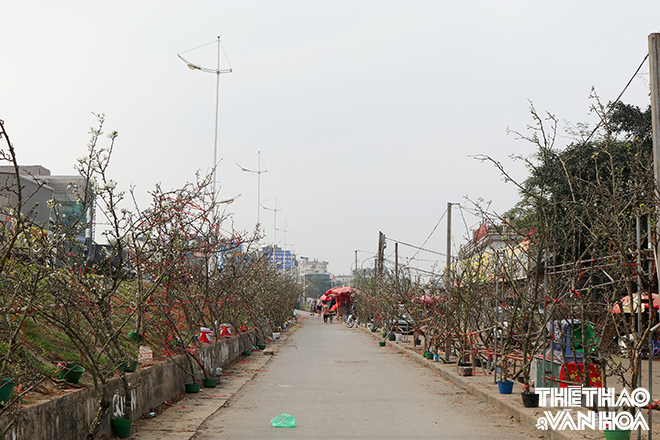 img_1561-1 Chú thích ảnh