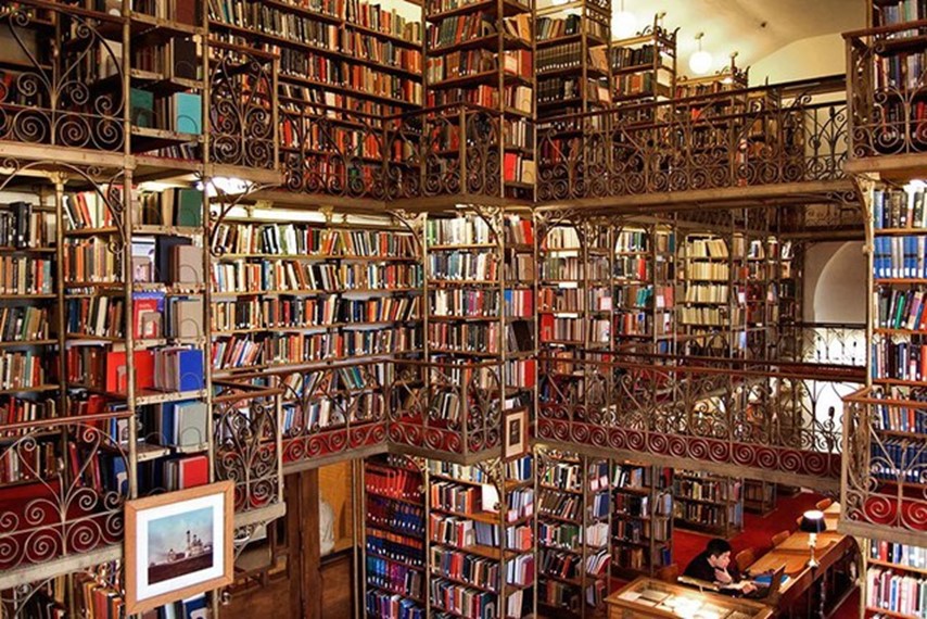 loi-khuyen-1-1 Chú thích ảnh