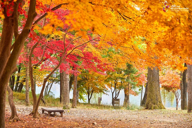 Tổng cục Du lịch Hàn Quốc đưa game thủ nổi tiếng Morgan đến Việt Nam - Ảnh 1. Tổng cục Du lịch Hàn Quốc đưa game thủ nổi tiếng Morgan đến Việt Nam - Ảnh 1.