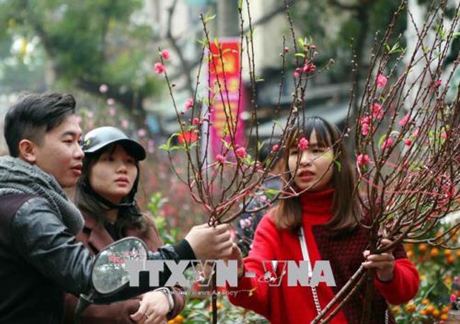 nguoidanluadao-1 Chú thích ảnh