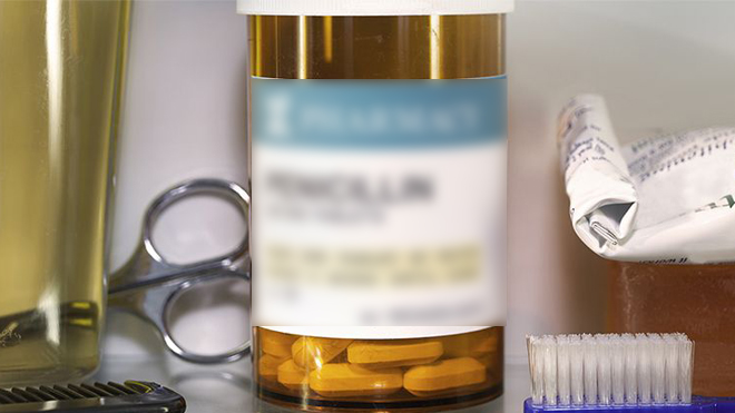 sinh2 Chú thích ảnh